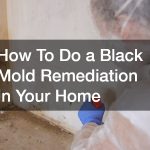 How To Do a Black  Mold Remediation In Your Home