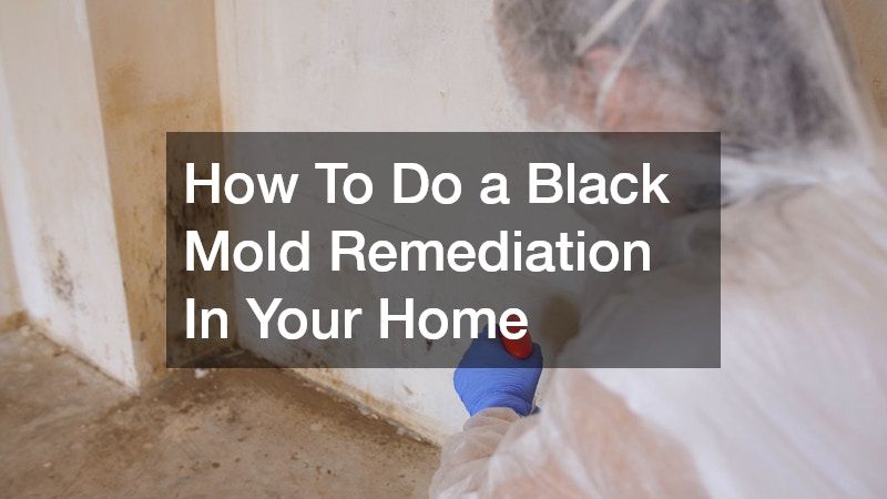 How To Do a Black Mold Remediation In Your Home